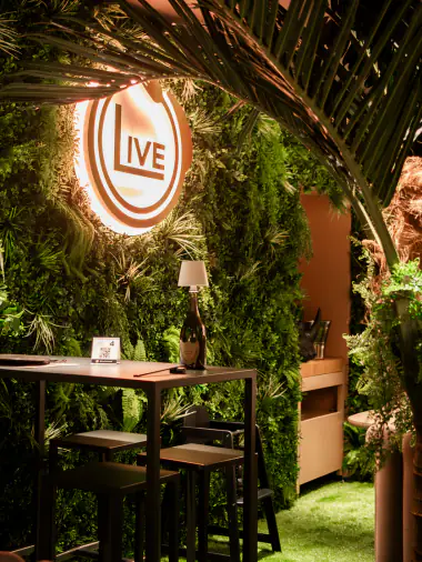 Jungle Room mit grünen Wänden und dem Live-Logo